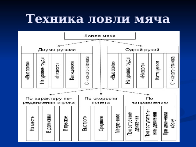 Техника ловли мяча 