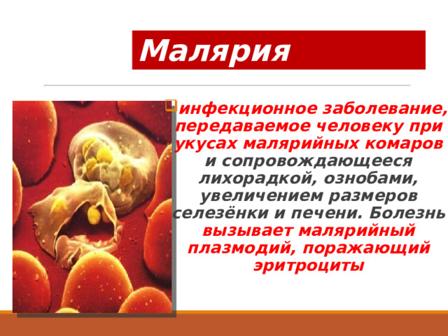 Малярия инфекционное заболевание, передаваемое человеку при укусах малярийных комаров и сопровождающееся лихорадкой, ознобами, увеличением размеров селезёнки и печени. Болезнь вызывает малярийный плазмодий, поражающий эритроциты 