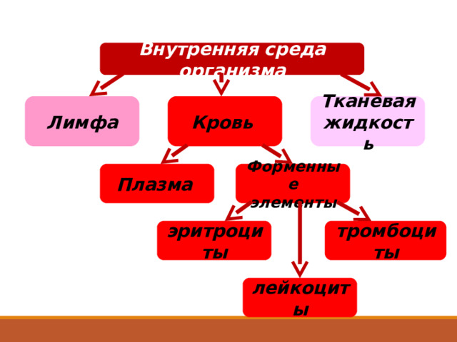 Внутренняя среда организма Тканевая жидкость Лимфа Кровь Форменные элементы Плазма  Учащимся дается врем, после чего все вместе проверяют правильность заполнения схему. В этом помогут эффекты анимации – постепенно все элементы схемы будут заполнены эритроциты тромбоциты лейкоциты 4 