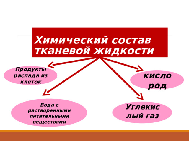 Химический состав тканевой жидкости Продукты распада из клеток  кислород  Вода с растворенными питательными веществами  Углекислый газ  