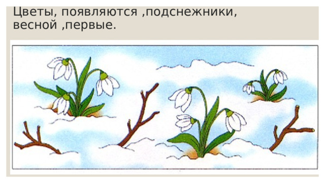Цветы, появляются ,подснежники, весной ,первые. 