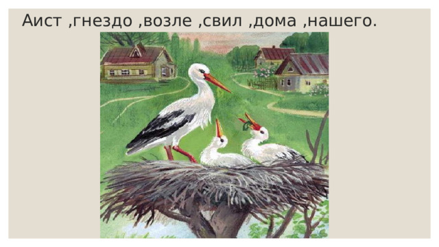 Аист ,гнездо ,возле ,свил ,дома ,нашего. 