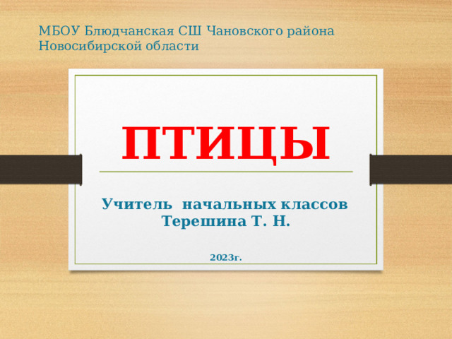МБОУ Блюдчанская СШ Чановского района Новосибирской области ПТИЦЫ  Учитель начальных классов Терешина Т. Н. 2023г.  