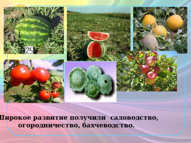 Широкое развитие получили садоводство, огородничество, бахчеводство. 