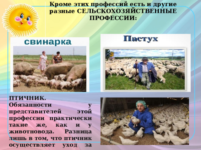Кроме этих профессий есть и другие разные СЕЛЬСКОХОЗЯЙСТВЕННЫЕ ПРОФЕССИИ: ПТИЧНИК. Обязанности у представителей этой профессии практически такие же, как и у животновода. Разница лишь в том, что птичник осуществляет уход за представителями пернатых: курами, гусями, утками, индюками и т. д. 