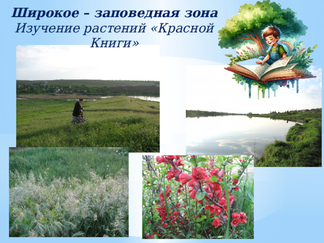 Широкое – заповедная зона Изучение растений «Красной Книги» 