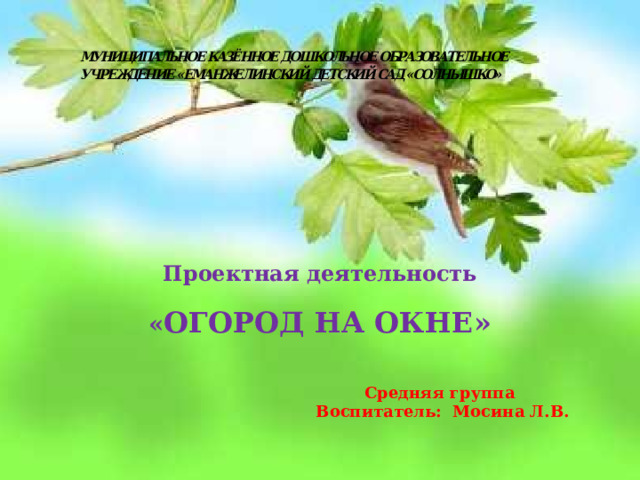 Проектная деятельность  « ОГОРОД НА ОКНЕ»   Средняя группа  Воспитатель: Мосина Л.В. 