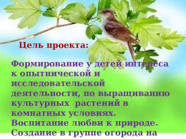 Цель проекта: Формирование у детей интереса к опытнической и исследовательской деятельности, по выращиванию культурных растений в комнатных условиях. Воспитание любви к природе. Создание в группе огорода на подоконнике.   