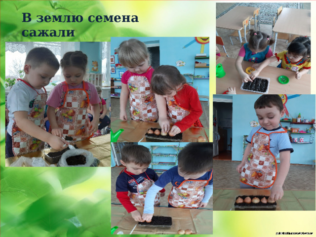 В землю семена сажали  Дети дружно помогали.   