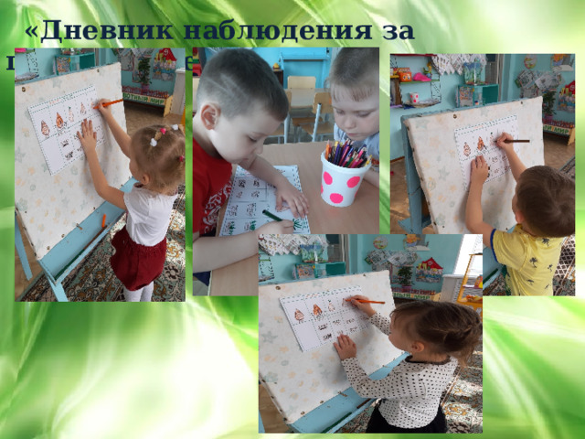  «Дневник наблюдения за прорастанием семян» ,    