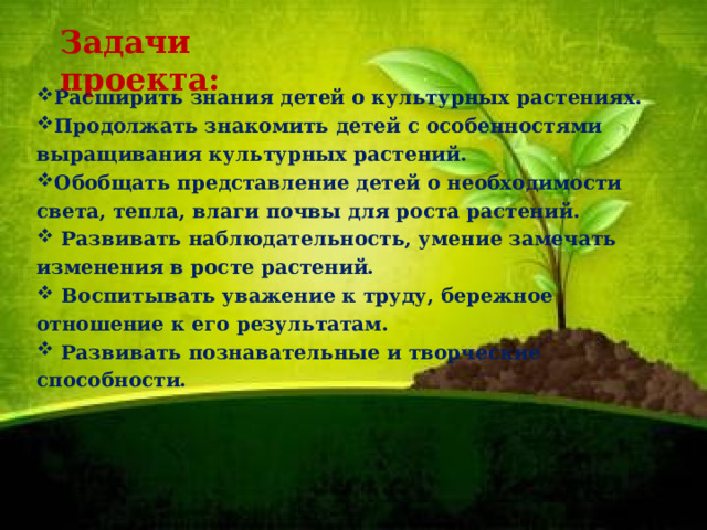 Задачи проекта: Расширить знания детей о культурных растениях. Продолжать знакомить детей с особенностями выращивания культурных растений. Обобщать представление детей о необходимости света, тепла, влаги почвы для роста растений.  Развивать наблюдательность, умение замечать изменения в росте растений.  Воспитывать уважение к труду, бережное отношение к его результатам.  Развивать познавательные и творческие способности. 