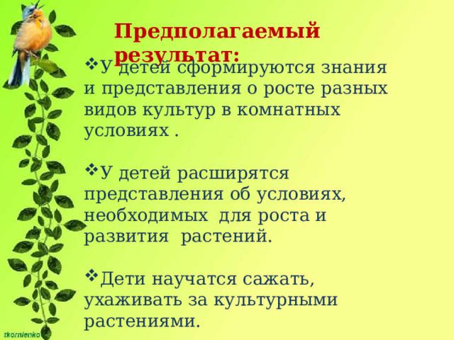 Предполагаемый результат: У детей сформируются знания и представления о росте разных видов культур в комнатных условиях . У детей расширятся представления об условиях, необходимых для роста и развития растений. Дети научатся сажать, ухаживать за культурными растениями. 