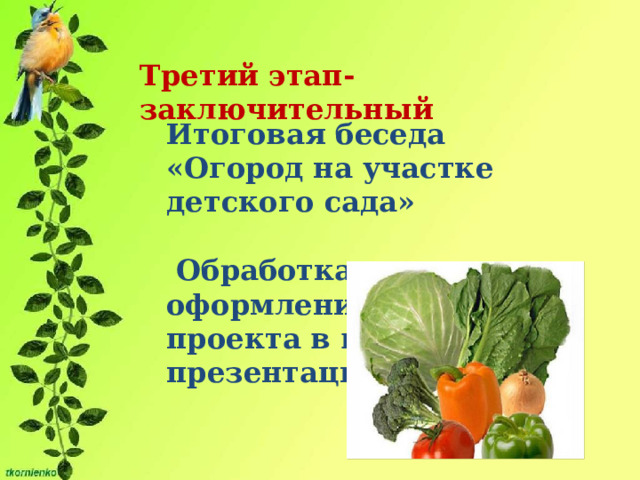 Третий этап- заключительный  Итоговая беседа «Огород на участке детского сада»   Обработка и оформление материалов проекта в виде презентации. 