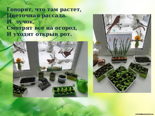Говорят, что там растет, Цветочная рассада. И лучок, Смотрят все на огород, И уходят открыв рот. 