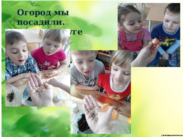 Огород мы посадили. Всех в округе удивили. 