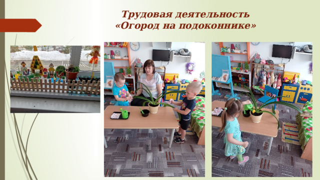 Трудовая деятельность  «Огород на подоконнике» 