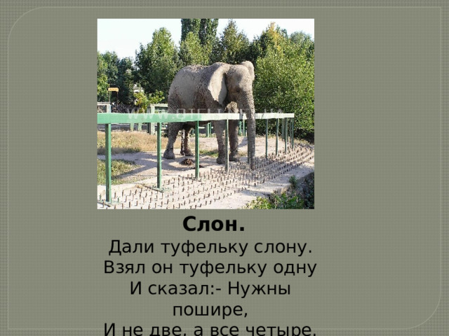  Слон. Дали туфельку слону. Взял он туфельку одну И сказал:- Нужны пошире, И не две, а все четыре. 