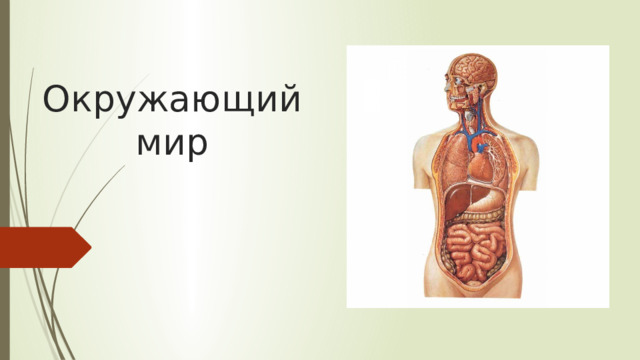 Окружающий мир 