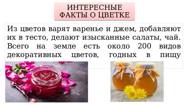 ИНТЕРЕСНЫЕ ФАКТЫ О ЦВЕТКЕ Из цветов варят варенье и джем, добавляют их в тесто, делают изысканные салаты, чай. Всего на земле есть около 200 видов декоративных цветов, годных в пищу человеку.  