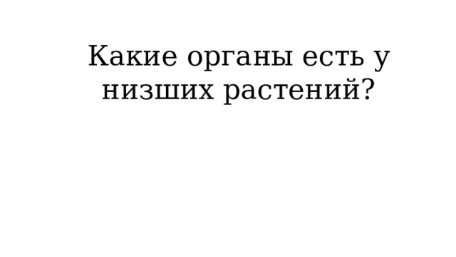 Какие органы есть у низших растений? 