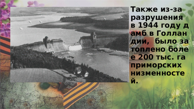 Также из-за разрушения в 1944 году дамб в Голландии, было затоплено более 200 тыс. га приморских низменностей.    