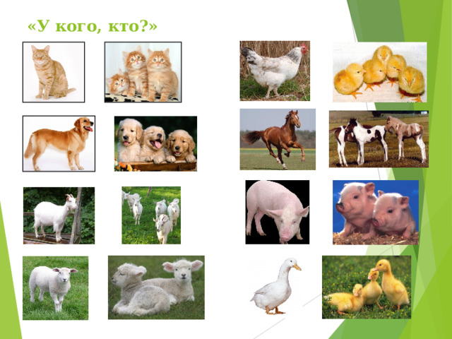 «У кого, кто?» 