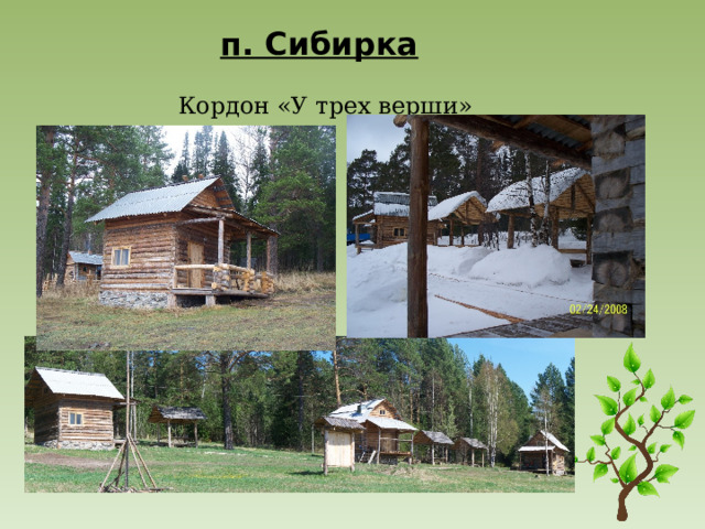 п. Сибирка Кордон «У трех верши» 