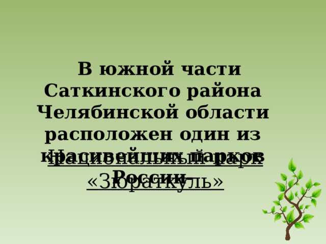  В южной части Саткинского района Челябинской области расположен один из красивейших парков России-   Национальный парк «Зюраткуль» 