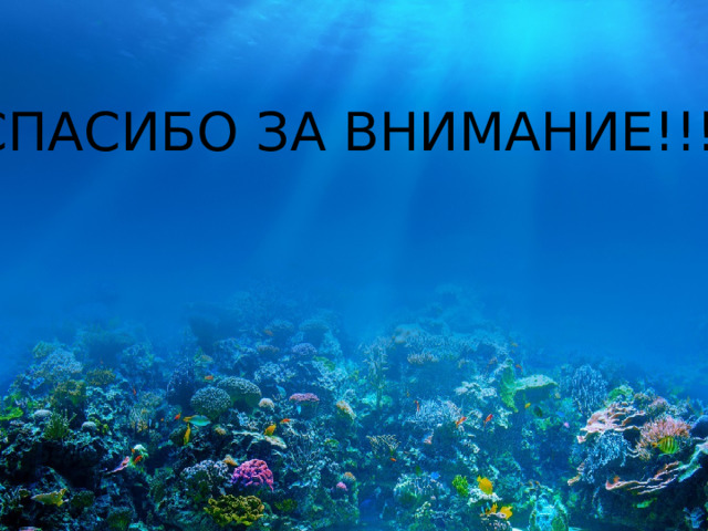 СПАСИБО ЗА ВНИМАНИЕ!!! 