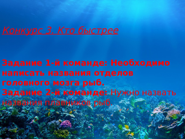 Конкурс 3. Кто быстрее   Задание 1-й команде: Необходимо написать названия отделов головного мозга рыб. Задание 2-й команде:  Нужно назвать названия плавников рыб.   