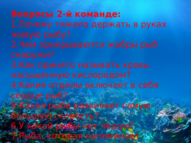 Вопросы 2-й команде: 1.Почему тяжело держать в руках живую рыбу? 2.Чем прикрываются жабры рыб снаружи? 3.Как принято называть кровь, насыщенную кислородом? 4.Какие отделы включает в себя сердце рыб? 5.Какая рыба развивает самую большую скорость? 6.У какой рыбы нет чешуи? 7.Рыба, которая напоминает шахматную фигуру? 8.Как называется одомашненная форма сазана? 