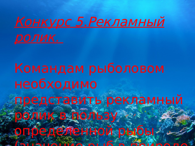 Конкурс 5.Рекламный ролик. Командам рыболовом необходимо представить рекламный ролик в пользу определенной рыбы (значение рыб в природе и в жизни человека). 