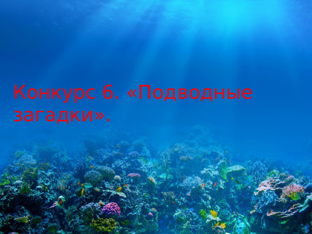 Конкурс 6. «Подводные загадки». 