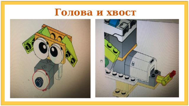 Голова и хвост 