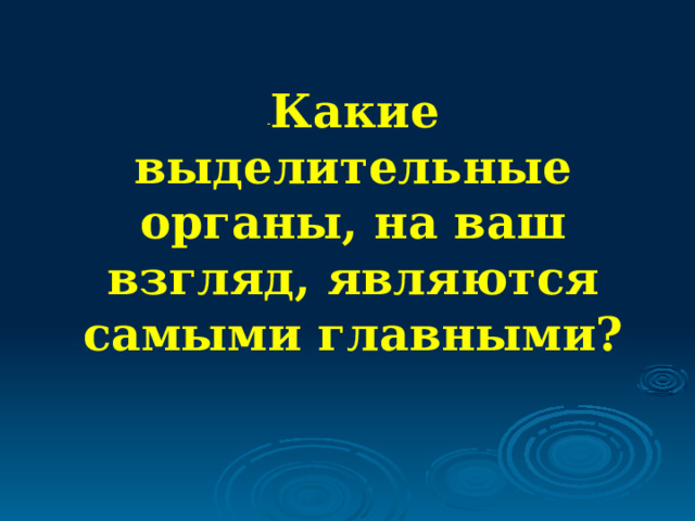 - Какие выделительные органы, на ваш взгляд, являются самыми главными? 