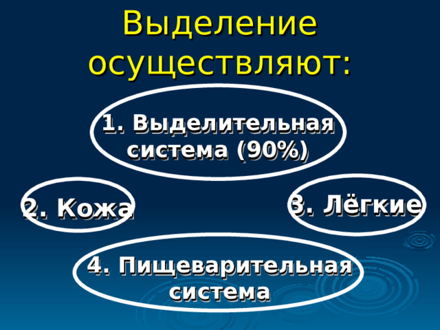 Выделение осуществляют: 1. Выделительная система (90%) 3. Лёгкие 2. Кожа 4. Пищеварительная система 