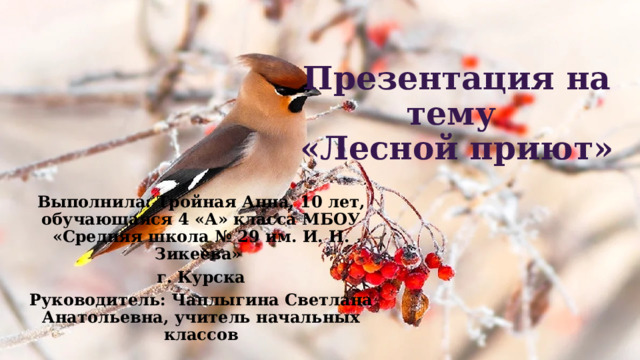 Презентация на тему  «Лесной приют» Выполнила: Тройная Анна, 10 лет, обучающаяся 4 «А» класса МБОУ «Средняя школа № 29 им. И. Н. Зикеева» г. Курска Руководитель: Чаплыгина Светлана Анатольевна, учитель начальных классов 