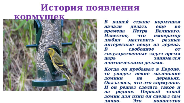  История появления кормушек В нашей стране кормушки начали делать еще во времена Петра Великого. Известно, что император любил мастерить разные интересные вещи из дерева. В свободное от государственных задач время царь занимался плотническими делами. Когда он пребывал в Европе, то увидел некие маленькие домики на деревьях. Оказалось, что это кормушки. И он решил сделать такое и на родине. Первый такой домик для птиц он сделал сам лично. Это новшество пришлось народу по душе. И теперь каждый считал своим долгом смастерить несколько кормушек. 