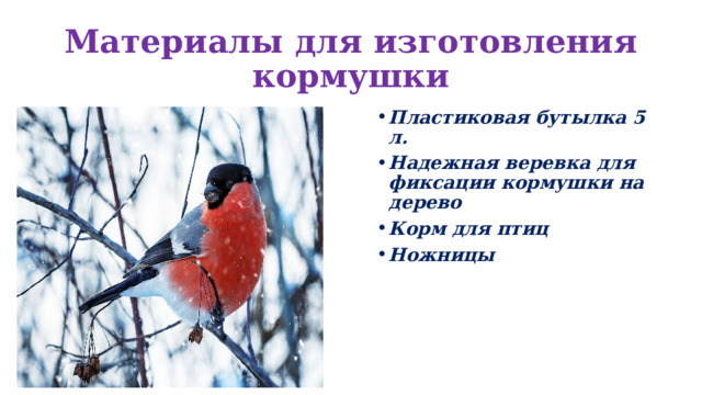 Материалы для изготовления кормушки Пластиковая бутылка 5 л. Надежная веревка для фиксации кормушки на дерево Корм для птиц Ножницы 