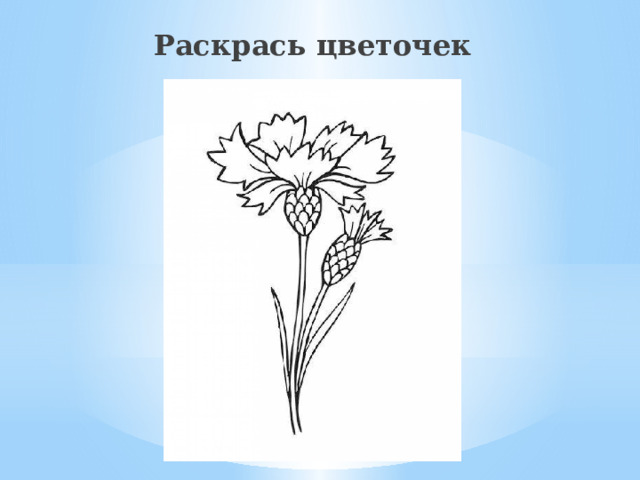 Раскрась цветочек 