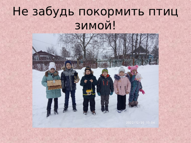 Не забудь покормить птиц зимой! 