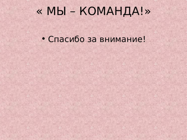 « МЫ – КОМАНДА!»   Спасибо за внимание! 