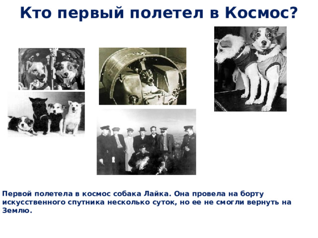  Кто первый полетел в Космос? Первой полетела в космос собака Лайка. Она провела на борту искусственного спутника несколько суток, но ее не смогли вернуть на Землю. 
