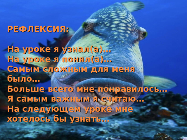 РЕФЛЕКСИЯ:   На уроке я узнал(а)…  На уроке я понял(а)…  Самым сложным для меня было…  Больше всего мне понравилось…  Я самым важным я считаю…  На следующем уроке мне хотелось бы узнать…   