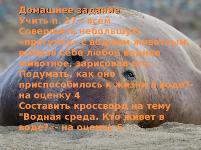 Домашнее задание  Учить п. 17 - всем  Совершить небольшую «прогулку» с водным животным, выбрав себе любое водное животное, зарисовав его. Подумать, как оно приспособилось к жизни в воде?- на оценку 4  Составить кроссворд на тему 