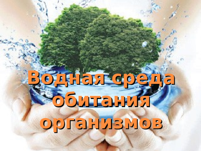 Водная среда обитания  организмов 