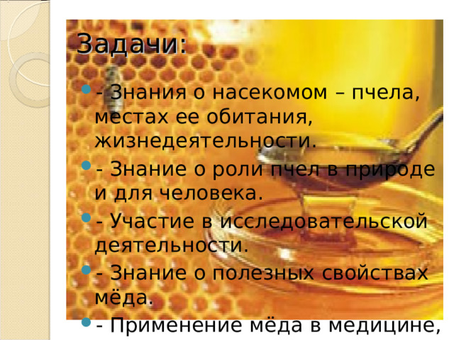 Задачи: - Знания о насекомом – пчела, местах ее обитания, жизнедеятельности. - Знание о роли пчел в природе и для человека. - Участие в исследовательской деятельности. - Знание о полезных свойствах мёда. - Применение мёда в медицине, кулинарии, косметологии.  