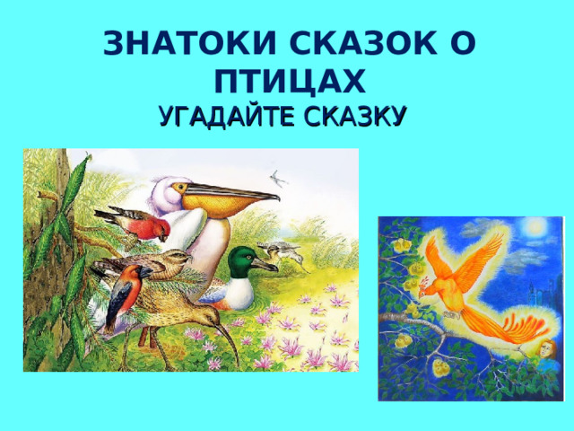 ЗНАТОКИ СКАЗОК О ПТИЦАХ УГАДАЙТЕ СКАЗКУ 