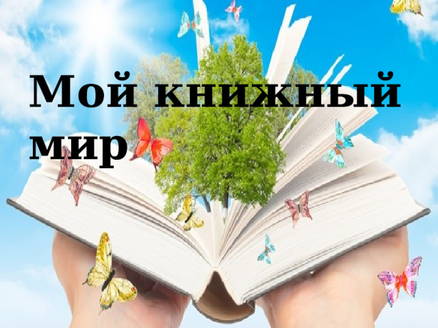 Мой книжный мир 
