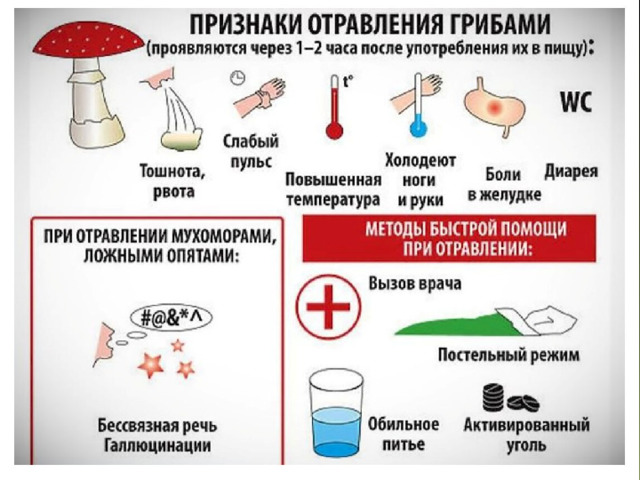 Признаки отравления грибами В среднем симптомы появляются спустя 1–2 часа после употребления. Некоторые признаки отравления грибами:  резкая головная боль;  сильная тошнота, приступы рвоты;  колющие боли в области живота, кишечника;  обильный жидкий стул;  нарушение нормального зрения;  сильная жажда и обезвоживание организма;  хриплый голос;  судороги конечностей;  слабость и обильное потоотделение;  слабый, еле прощупываемый пульс;  в особо тяжёлых случаях холодеют пальцы, стопы ног, кожа приобретает синеватый оттенок, температура тела может опуститься до 36–35 °C.  
